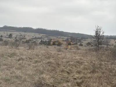 Poljoprivredno zemljište, Škropeti - uredan put do parcele - 3