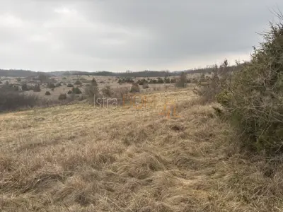 Poljoprivredno zemljište, Škropeti - uredan put do parcele - 2
