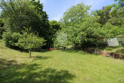 Kuća 3.000 m², Cernik-Čavle - mirna lokacija - 6