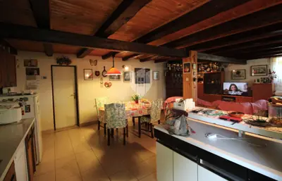 Kuća 3.000 m², Cernik-Čavle - mirna lokacija - 13