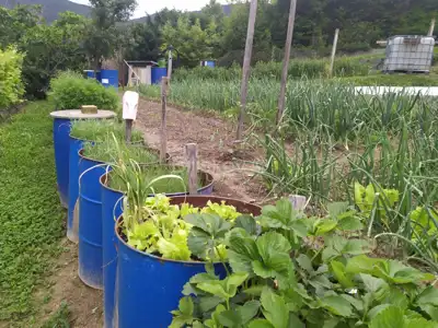 Jastrebarsko, Vlaškovec, ranč-imanje s 3 građevna objekta - 13