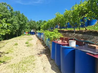 Jastrebarsko, Vlaškovec, ranč-imanje s 3 građevna objekta - 14