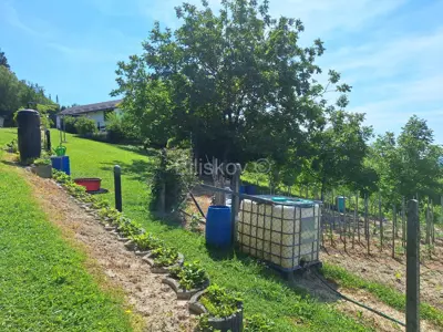 Jastrebarsko, Vlaškovec, ranč-imanje s 3 građevna objekta - 15