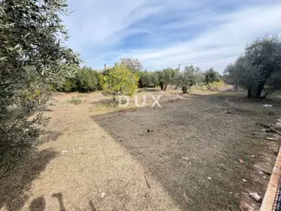 Apartment 55 m², Štinjan - garden 66 m² and terrace - 11