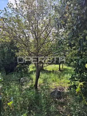 Building land 543 m², Mali Ston - near the center of Ston - 6