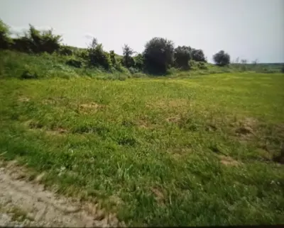 Land plot for sale in Buje - 2