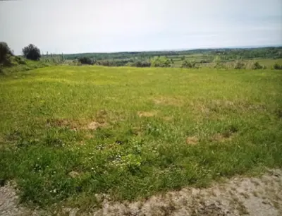 Baugrundstück in Buje, 800 m vom Zentrum entfernt, Meerblick