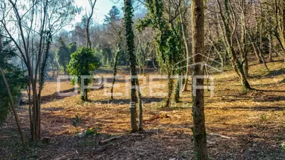Grundstück 3 830 m², Vrapče, ruhige Lage neben Grünflächen - 17