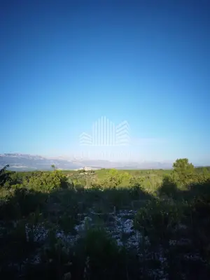 Building plot with the best view in Novigrad 1242 m² - 2