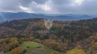 Estate in Motovun, 3 stone houses and 3,700 m² of land - 20