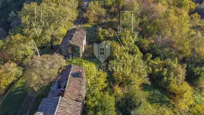 Estate in Motovun, 3 stone houses and 3,700 m² of land - 8