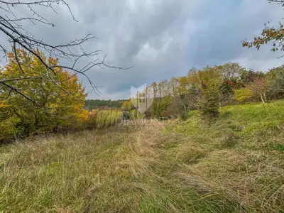 Estate in Motovun, 3 stone houses and 3,700 m² of land - 22