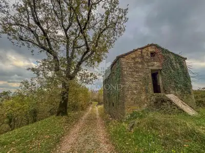 Estate in Motovun, 3 stone houses and 3,700 m² of land - 16