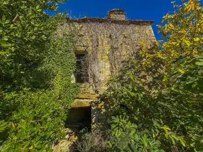 Estate in Motovun, 3 stone houses and 3,700 m² of land - 13