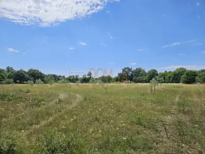Agricultural land 20,214 m², Vodnjan - young olive grove - 3
