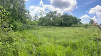 Građevinsko zemljište 1 246 m², Tinjan - mirna lokacija uz šumu - 2