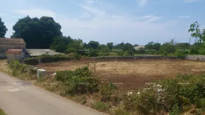 Building plot, Svetvinčenat - permit for a villa with a pool - 8