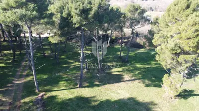 Bauland 11.564 m², Poreč - in der Nähe der Küste - 10