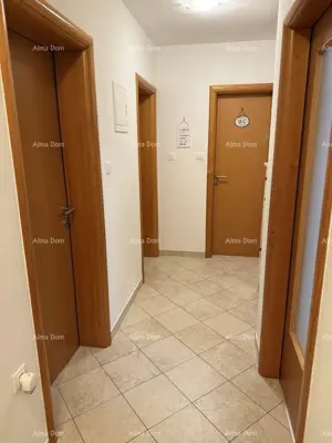 Apartment 60 m², Žminj - quiet location near amenities - 9
