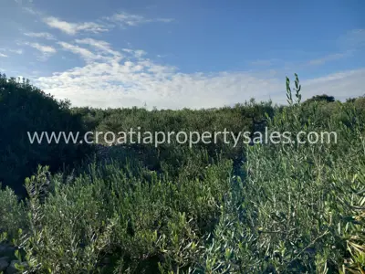Poljoprivredno zemljište 10.970 m², Otok Brač - pogled na more - 4