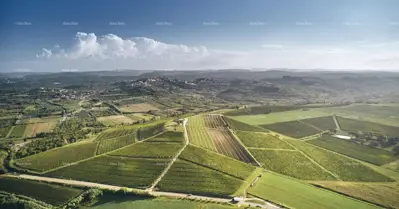 Land plot for sale in Brtonigla