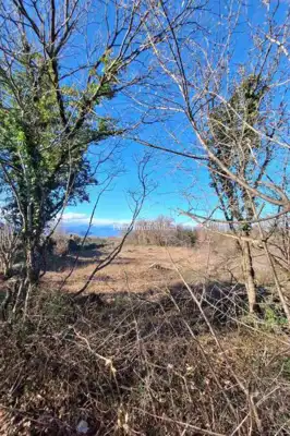 Agricultural land with sea view - Krk - 4