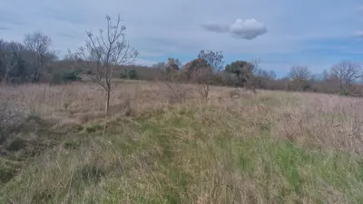 Grundstück, Krnica, Marčana - eben und mit Zugang von zwei Straßen - 4