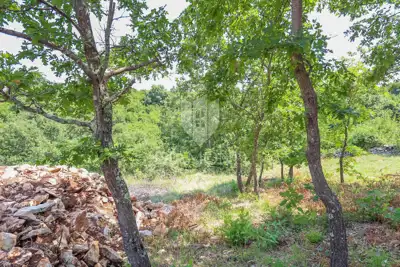 Zemljište 2.427 m², Svetvinčenat - uz asfaltiranu prometnicu - 2