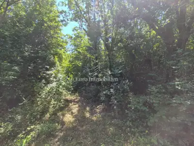 Agricultural land 10,110 m², Labin - quiet location - 3