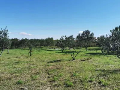 Building plot 250 m from the sea, Dobropoljana - island of Pašman