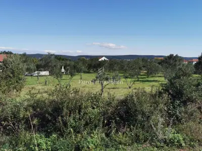 Building plot 250 m from the sea, Dobropoljana - island of Pašman - 7