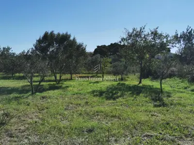 Building plot 250 m from the sea, Dobropoljana - island of Pašman - 4