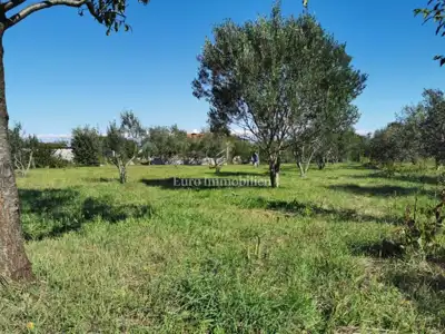 Building plot 250 m from the sea, Dobropoljana - island of Pašman - 5