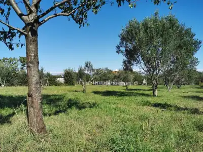 Building plot 250 m from the sea, Dobropoljana - island of Pašman - 3