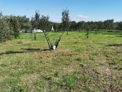 Building plot 250 m from the sea, Dobropoljana - island of Pašman - 2