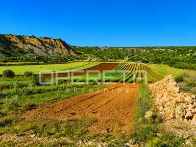 House 55 m², Jasenice - large plot 26,983 m² - 13