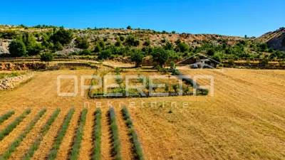 House 55 m², Jasenice - large plot 26,983 m² - 7