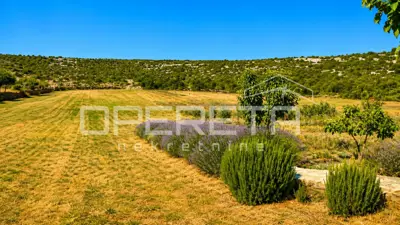 House 55 m², Jasenice - large plot 26,983 m² - 11