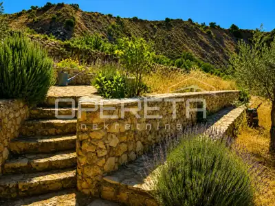 House 55 m², Jasenice - large plot 26,983 m² - 18