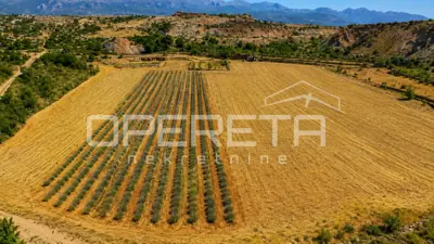 House 55 m², Jasenice - large plot 26,983 m² - 8