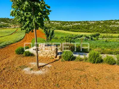 House 55 m², Jasenice - large plot 26,983 m² - 16