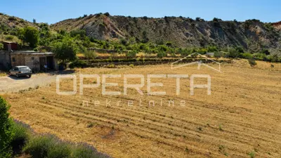 House 55 m², Jasenice - large plot 26,983 m² - 10