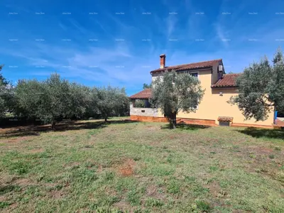 Galižana! Stone villa with two additional cottages!