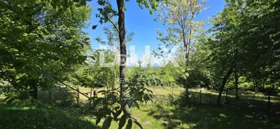 ISTRA, GRAČIŠĆE - Camp in the heart of Istria with rich infrastructure and additional - 17