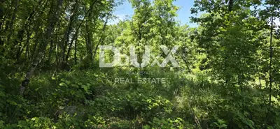ISTRA, GRAČIŠĆE - Camp in the heart of Istria with rich infrastructure and additional - 16