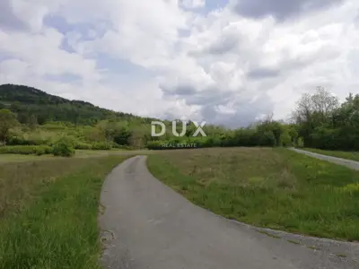 ISTRA, MOTOVUN - Prostrano poljoprivredno zemljište - 4