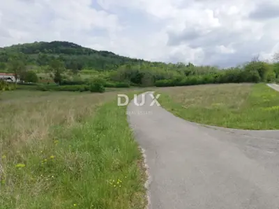 ISTRA, MOTOVUN - Prostrano poljoprivredno zemljište - 3