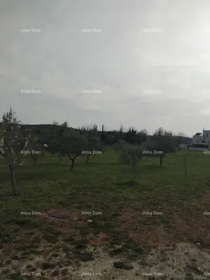Zemljište 5 716 m², Fuškulin kod Poreča, pogled na more - 2