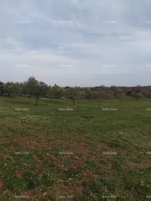 Zemljište 5 716 m², Fuškulin kod Poreča, pogled na more - 3