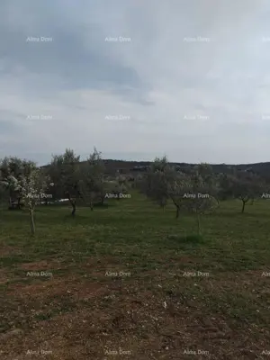 Zemljište 5 716 m², Fuškulin kod Poreča, pogled na more